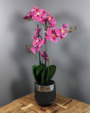 Load image into Gallery viewer, Pink Orchid