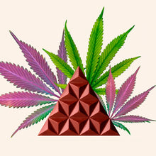 Load image into Gallery viewer, Kamm Ecuadorian Cacao - CBD