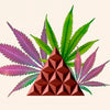 Kamm Ecuadorian Cacao - CBD